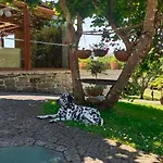 Casa Brues カントリーハウス