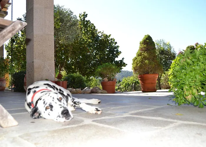 Casa Brues Venkovský dům *